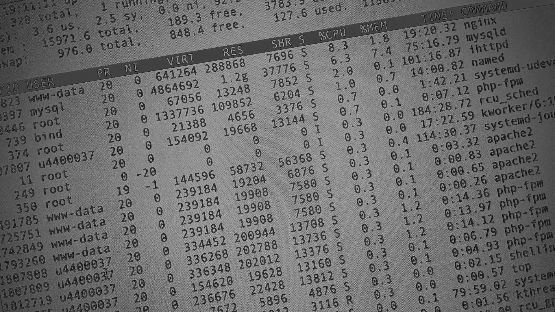 Настройка сервера в Пионерском Настройка сервера в Пионерском