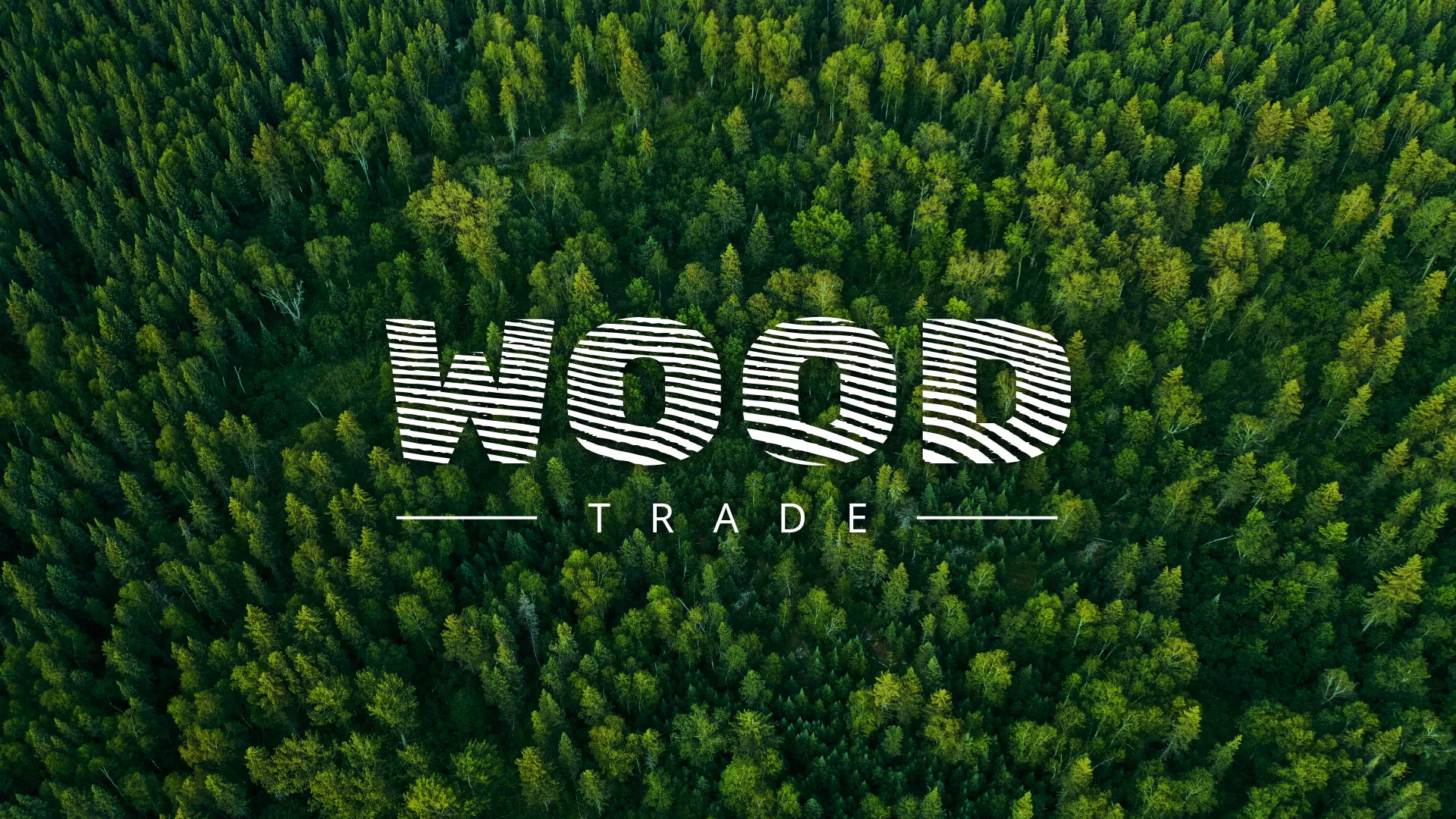 Разработка интернет-магазина компании «Wood Trade» в Пионерском